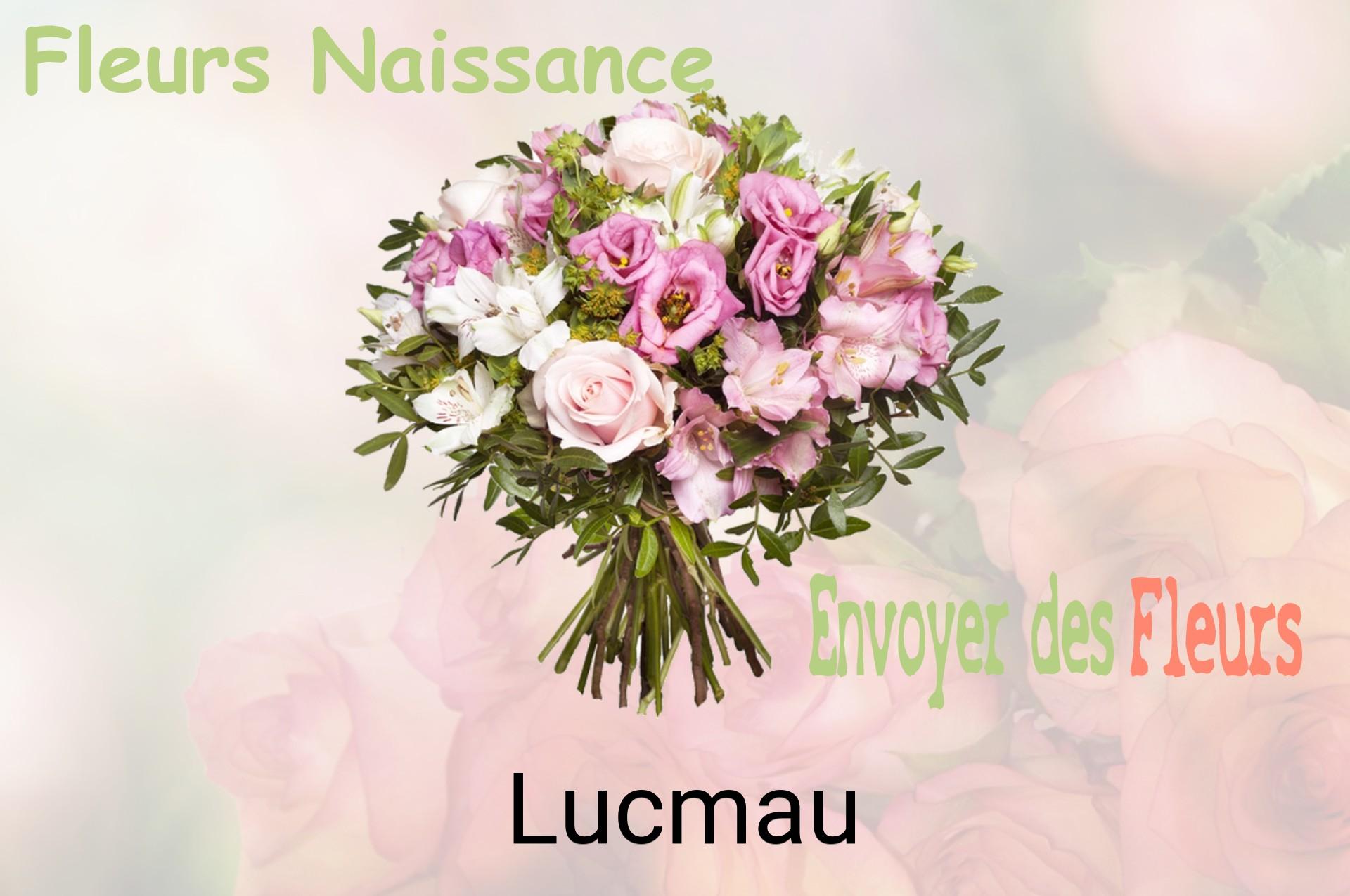 Bouquet de fleurs de naissance livré à Lucmau
