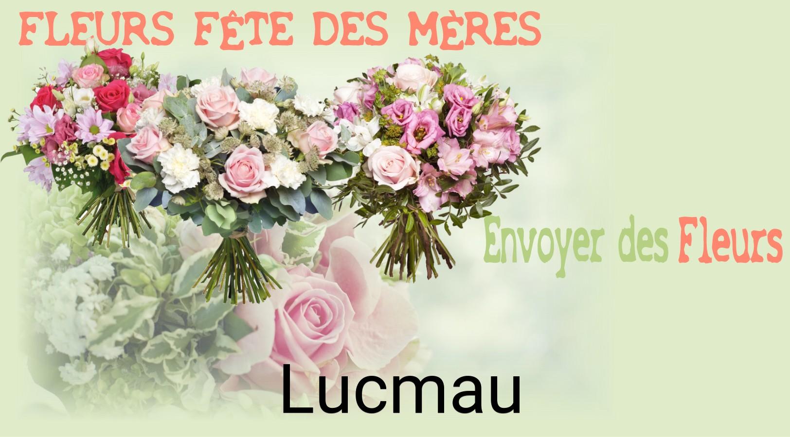 Bouquet de Fête des Mères livré à Lucmau